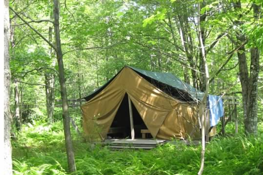 pod camping site kingswood